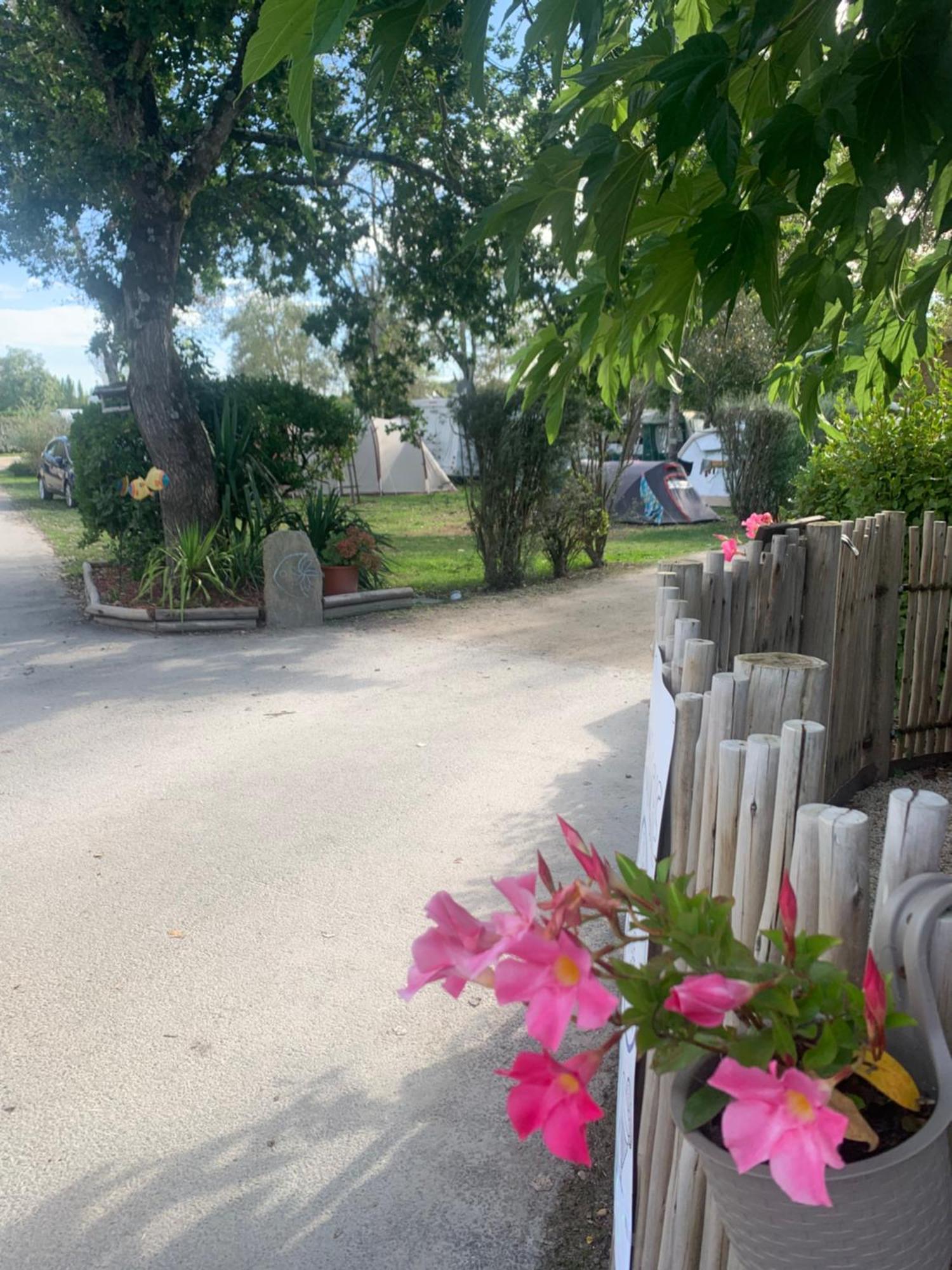 Camping Paradis Le Moulin Des Oies Belz Exterior foto